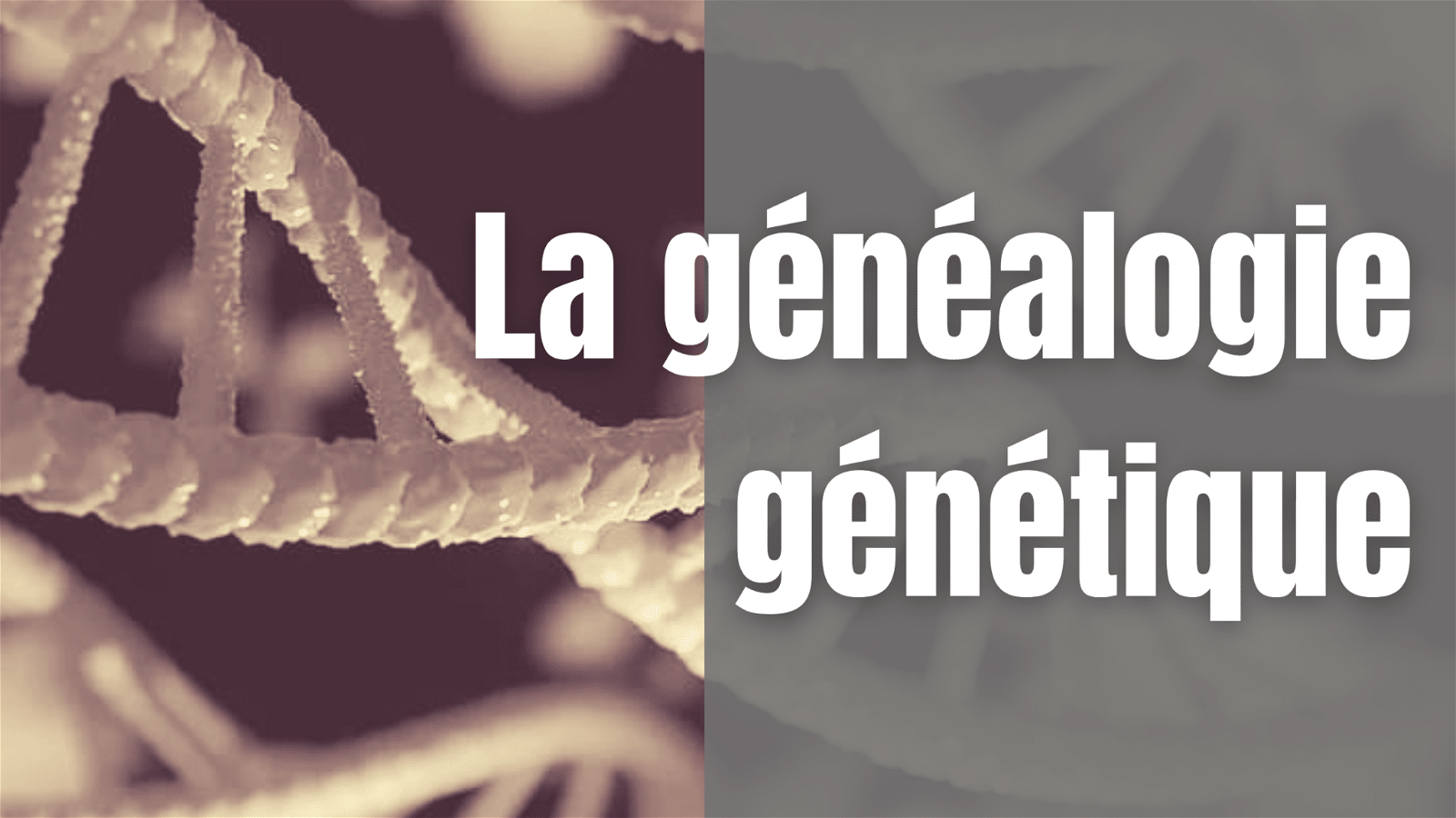 héritage génétique généalogie